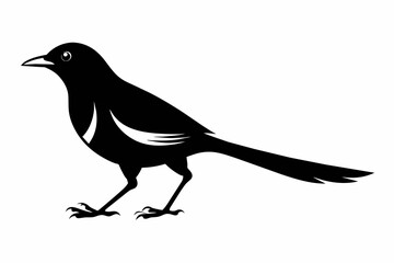 Walking magpie iconic logo silhouette black vector art illustration