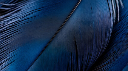 Wall Mural - Blue Bird Feather Texture Background - Nature, Abstract, Macro, Closeup