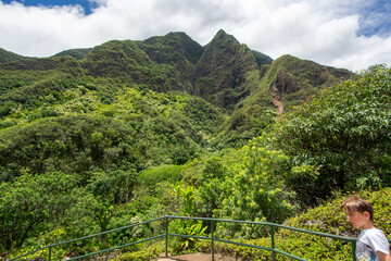 Wall Mural - Iao valley state park in Maui, Hawaii in summer 2024