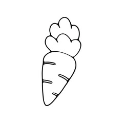 Sticker - hand drawing of a carrot, showing its tapered root and leafy top.