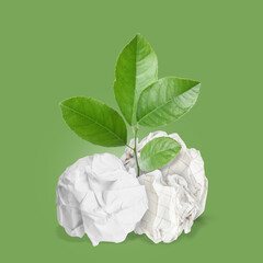 Sticker - Seedling with leaves growing from crumpled paper balls on green background. Recycling