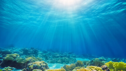 Wall Mural - Sunlight rays illuminating underwater coral reef