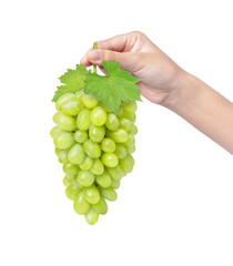 Wall Mural - Hand hold green grape