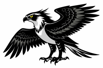 Wall Mural - osprey bird, osprey silhouette vector, hawk osprey bird vector illustration