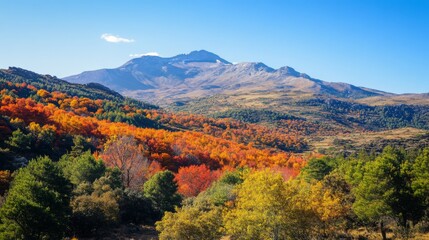 Wall Mural - Mountain Range with Vibrant Autumn Foliage