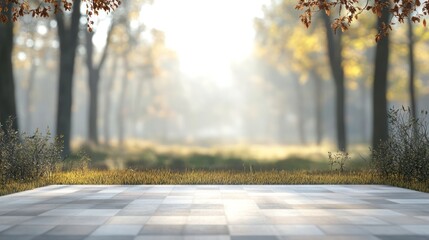 Wall Mural - A forest with a path leading through it. The path is empty and the trees are bare. The sky is overcast and the sun is barely visible