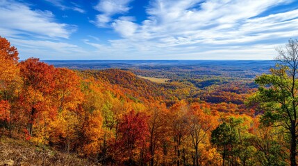 Poster - Autumnal Forest Landscape with Blue Sky and White Clouds