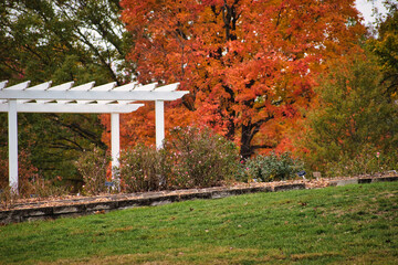 bench in autumn park