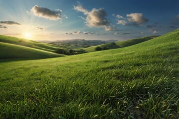 Wall Mural - Realistic outdoor green grass ground field texture pattern public park and cloud and blue sky background with blur background in concept of freshness, growth, environment ecology and sustainablility