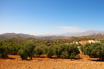 mediteranian landscape background