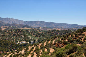 mediteranian landscape background