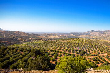 mediteranian landscape background