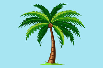 Coconut tree green beach garden nature jungle forest