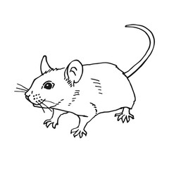 Wall Mural - Mouse. Hand drawn vector illustration ink style.