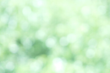 Wall Mural - Soft focus Green Pastel Abstract bokeh background Glittering aesthetic textured pattern