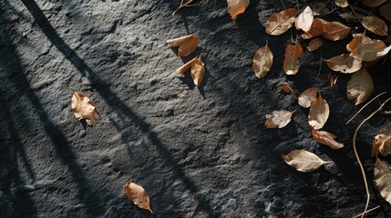 Sunlight shining on dark natural stone with dry banyan leaves, creating negative space for text.