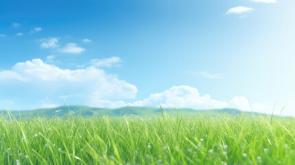 Wall Mural - Tranquil Green Field and Clear Blue Skies