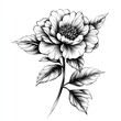 © ekkarat - Beautiful black and white floral illustration featuring a detailed blooming flower with elegant leaves.