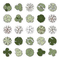 hand drawn vector set top view of tree illustration isolated on white background for landscape and architectural design.