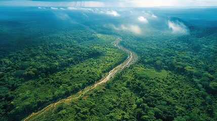 Aufkleber - Aerial view of the rainforest highlighting areas of deforestation and reforestation. Generative AI.