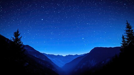 Wall Mural - night sky filled with twinkling stars