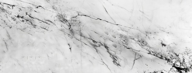 Poster - Elegant Black and White Marble Texture Background