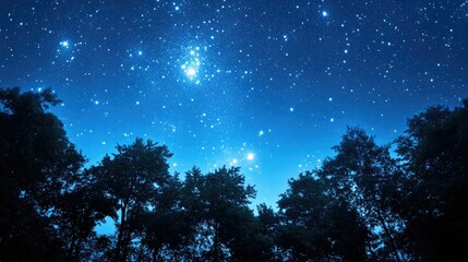Night sky filled with twinkling stars