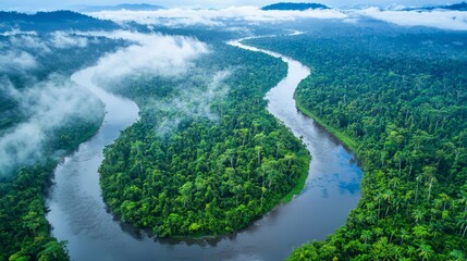 Sticker - Aerial view of a river winding through a dense jungle, with mist in the background.