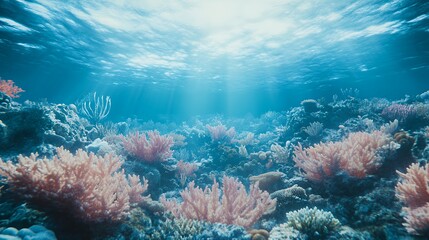 Wall Mural - Sunbeams Through Underwater Coral Reef