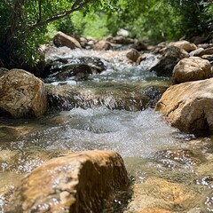 Wall Mural - Closeup of a stream flowing over rocks.