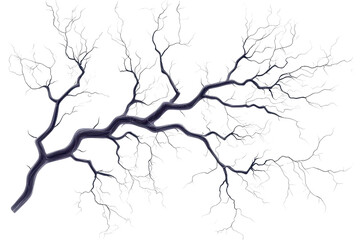Detailed illustration of a complex, branching tree structure with intricate patterns, resembling veins or branches, on a transparent background.