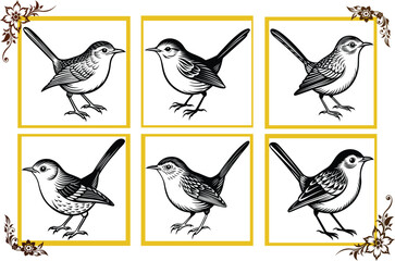 Wall Mural - tailorbird bird isolated line art vector illustration