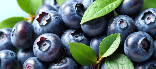 Wall Mural - Fresh blueberry with green leaves. Food background.