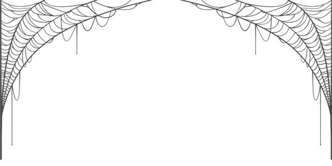 Wall Mural - spider web line art vector illustration