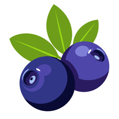 an illustration of two blueberries with three green leaves behind them. The blueberries are depicted in a cartoon style, with a shiny surface that suggests they are fresh and ripe