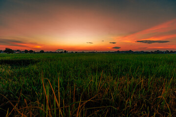 Panoramic nature background from high mountains overlooking the beautiful scenery below, green rice fields, big and small trees, beautiful rugged mountains from the viewpoint.