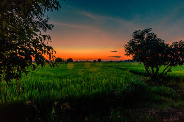 Panoramic nature background from high mountains overlooking the beautiful scenery below, green rice fields, big and small trees, beautiful rugged mountains from the viewpoint.