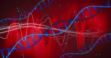 Poster - DNA strands and data waves, genetic research animation over red background