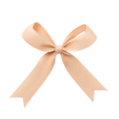 Wall Mural - a delicate peach ribbon bow
