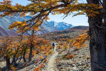 Wall Mural - Hike in autumn season