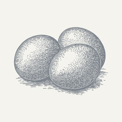 Wall Mural - Three Eggs. Vintage woodcut engraving style vector illustration.