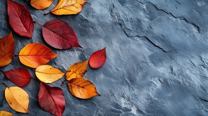 Poster - Autumn Leaves on Gray Stone Background