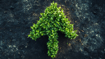 a growing green tree shaped like an arrow shows how a market is expanding and thriving.