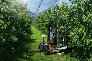 Poster - Autonomous robot works in a fruit garden. Smart farming concept