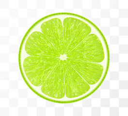 Wall Mural - Slice of lime fruit, isolated on transparent background. Vibrant tropical plant, exude freshness and zesty burst, promising a tangy flavor in every piece. Realistic 3d vector illustration.