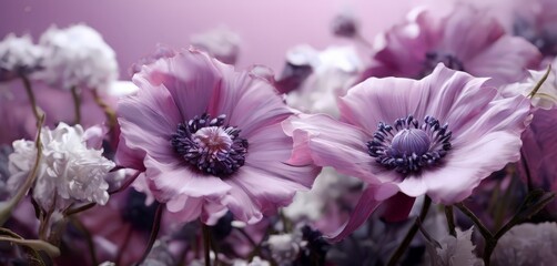 A close-up of two large purple flowers with white centers, surrounded by smaller purple and white flowers, against a purple background.