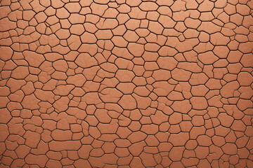 human skin texture