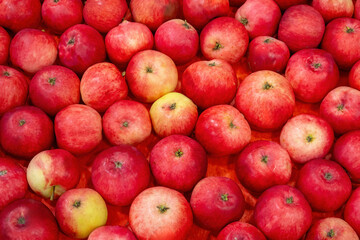 Delicious apples. Fresh fruit. Background of ripe apples. Healthy fruits for smoothie or juice. Background with apples for farm banner. Fruits from health food store. Fruits with vitamins