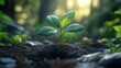© artiiz - Young plant sprouting from the soil, representing growth and new beginnings, 3D illustration