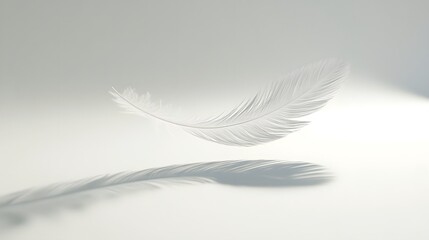 CG Floating Feather: A delicate, CG-rendered feather floating gracefully on a white background, casting a soft shadow.
